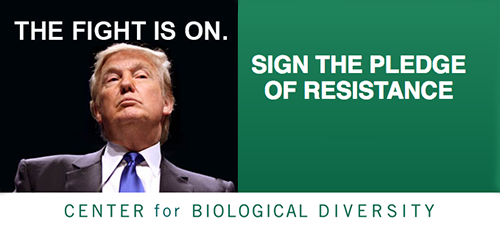 Take the Pledge to Defend America's Natural Resources